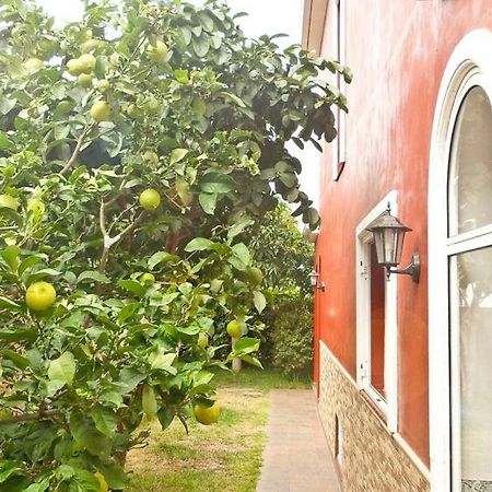 Casa Buganvilla Los Realejos Eksteriør bilde
