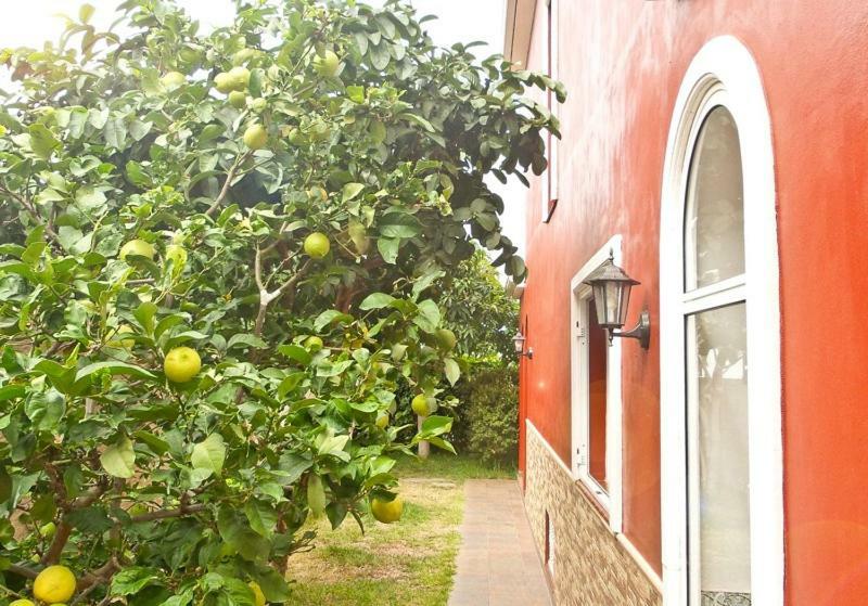 Casa Buganvilla Los Realejos Eksteriør bilde